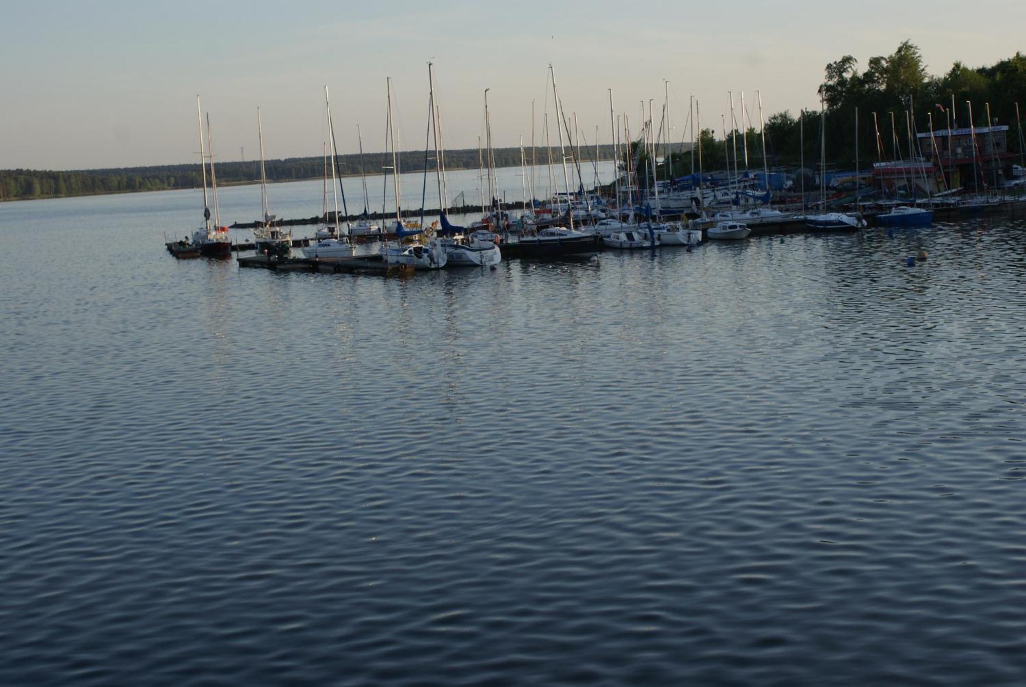 Modra Sikorka Smardzewice Quarto foto